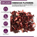 Hot Pot Africa Hibiscus Flowers - Sun Dried Sorrel Whole Petals, Perfect for Hibiscus Tea, Brewing or Distilling - Vegan, Premium Quality Raw Hibiscus Herbal Tea or Zobo Drink